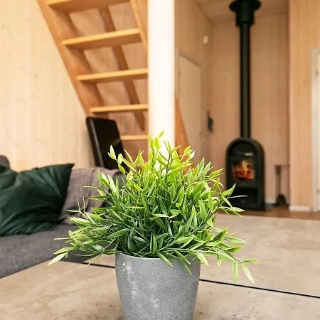 Cozy Holiday Home In Funen With Sauna Ferienhaus Fåborg